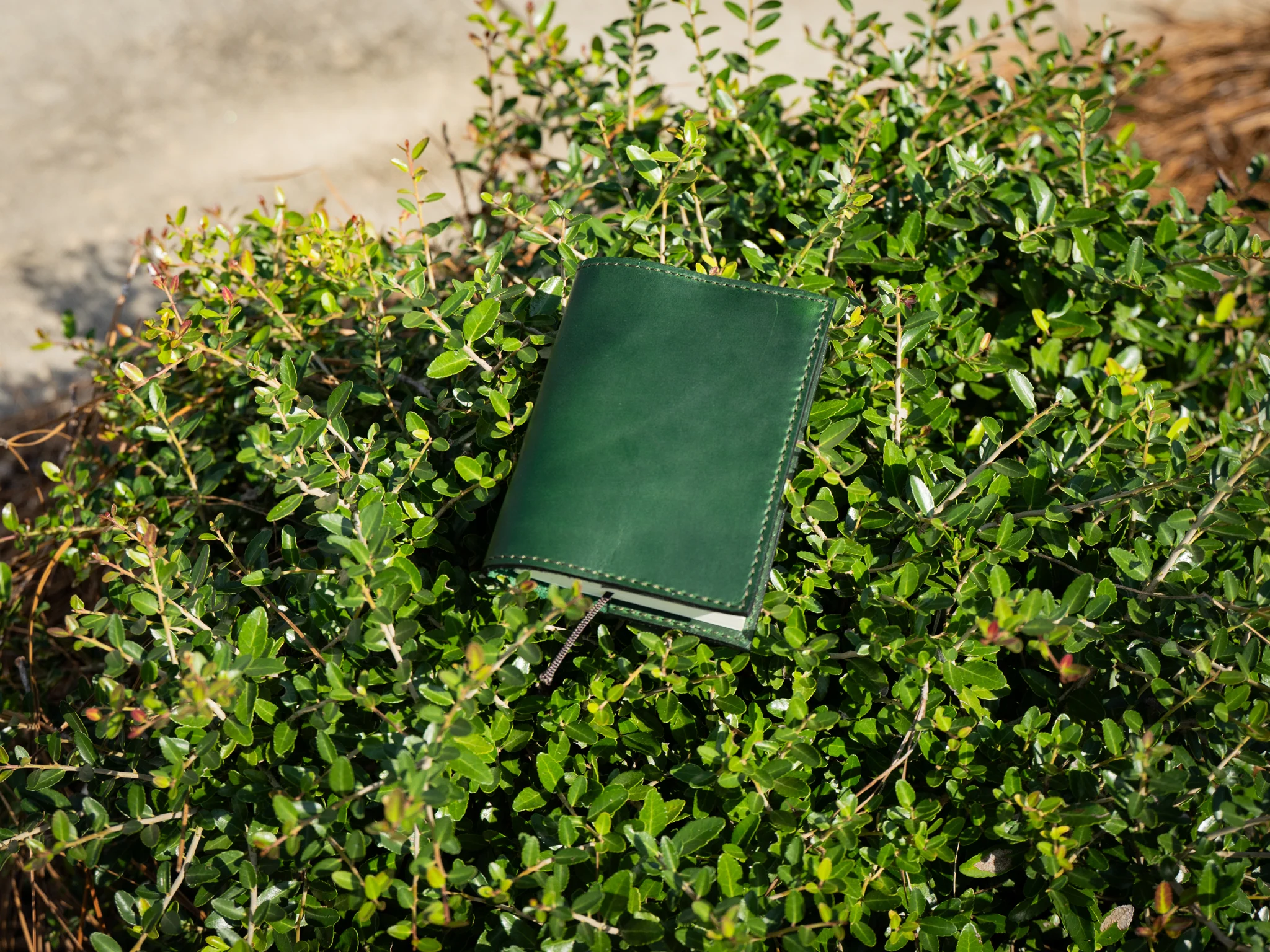 Milwaukee Leather Midori Notebook Cover - Green Moss - Image 7